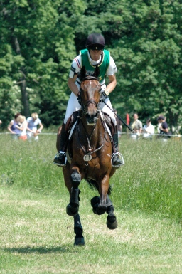wiesbaden-2012_cic3-163-jpg