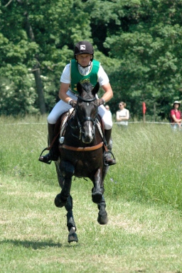wiesbaden-2012_cic3-167-jpg