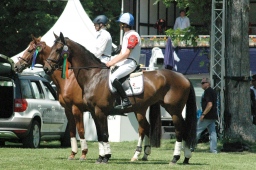 wiesbaden-2012_cic3-178-jpg