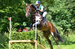 wiesbaden-2014_cic3-022-jpg