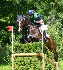 wiesbaden-2014_cic3-040-jpg