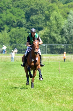 wiesbaden-2014_cic3-071-jpg