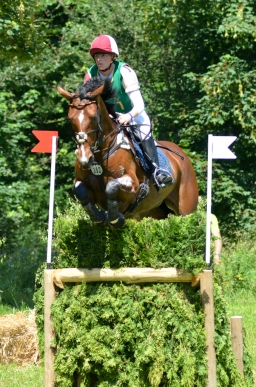 wiesbaden-2014_cic3-074-jpg