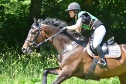 wiesbaden-2014_cic3-086-jpg