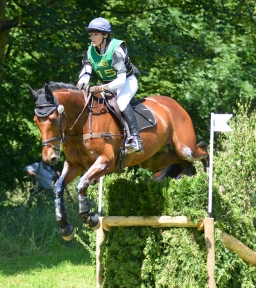 wiesbaden-2014_cic3-088-jpg