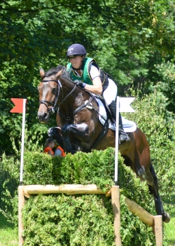 wiesbaden-2014_cic3-094-jpg
