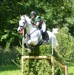 wiesbaden-2014_cic3-099-jpg
