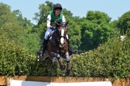 wiesbaden-2014_cic3-123-jpg