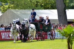 wiesbaden-2014_cic3-167-jpg