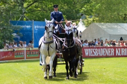 wiesbaden-2014_cic3-168-jpg