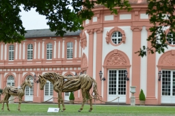 wiesbaden-2015_cic3-001-jpg