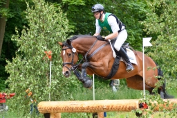 wiesbaden-2015_cic3-031-jpg