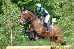 wiesbaden-2015_cic3-036-jpg