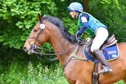 wiesbaden-2015_cic3-037-jpg