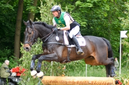 wiesbaden-2015_cic3-043-jpg