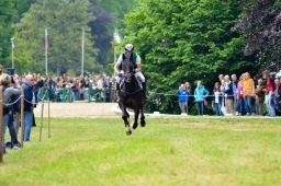 wiesbaden-2015_cic3-044-jpg