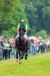 wiesbaden-2015_cic3-046-jpg