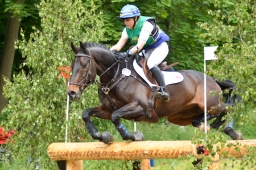 wiesbaden-2015_cic3-050-jpg
