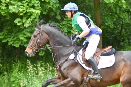 wiesbaden-2015_cic3-051-jpg