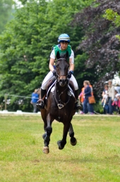 wiesbaden-2015_cic3-052-jpg
