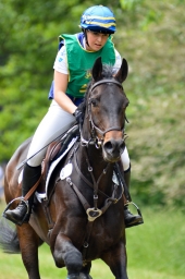 wiesbaden-2015_cic3-053-jpg