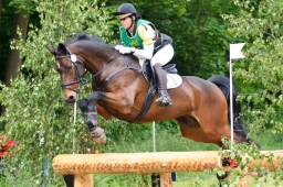 wiesbaden-2015_cic3-054-jpg
