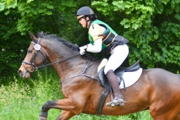 wiesbaden-2015_cic3-055-jpg