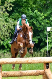 wiesbaden-2015_cic3-058-jpg