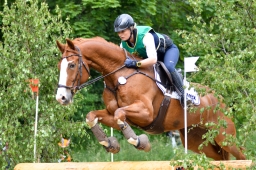 wiesbaden-2015_cic3-060-jpg