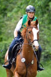 wiesbaden-2015_cic3-062-jpg