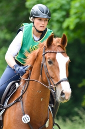 wiesbaden-2015_cic3-063-jpg