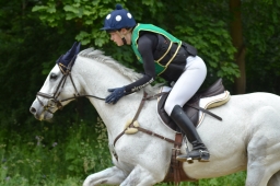 wiesbaden-2015_cic3-068-jpg