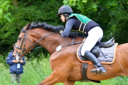 wiesbaden-2015_cic3-082