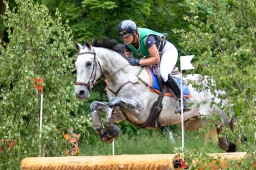 wiesbaden-2015_cic3-085