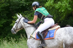 wiesbaden-2015_cic3-087