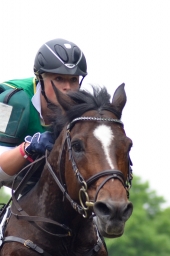 wiesbaden-2015_cic3-108