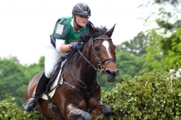 wiesbaden-2015_cic3-109