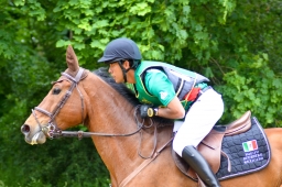 wiesbaden-2015_cic3-113