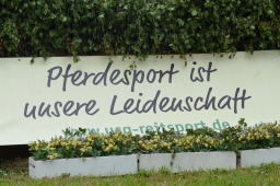 wiesbaden-2015_cic3-117