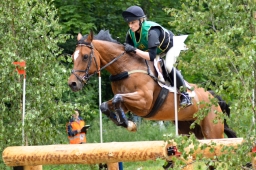 wiesbaden-2015_cic3-120