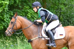 wiesbaden-2015_cic3-121
