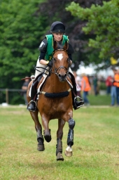 wiesbaden-2015_cic3-122