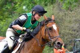wiesbaden-2015_cic3-125