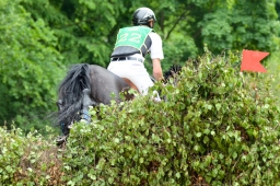 wiesbaden-2015_cic3-136