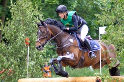 wiesbaden-2015_cic3-141