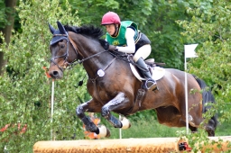 wiesbaden-2015_cic3-145