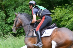 wiesbaden-2015_cic3-166