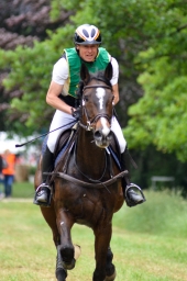 wiesbaden-2015_cic3-175