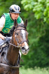 wiesbaden-2015_cic3-176