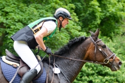 wiesbaden-2015_cic3-178